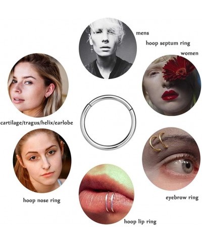 316L Surgical Steel Hinged Nose Rings Hoop 20G 18G 16G 14G, Diameter 6mm to 10mm, Color Gold - Rose Gold - Silver - Black - R...