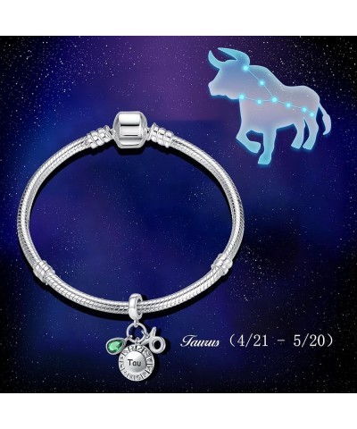 12 Zodiac Sign Charm Teardrop Birthstone Bead for Pandora Bracelet Birthday Gift Taurus $7.79 Bracelets