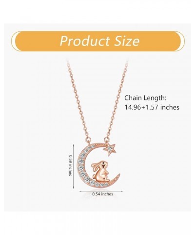 Chinese Zodiac Necklace 925 Sterling Silver Rose Gold Pendant Charm Necklace Zircon Moon and Star Necklace Cute Animal Jewelr...