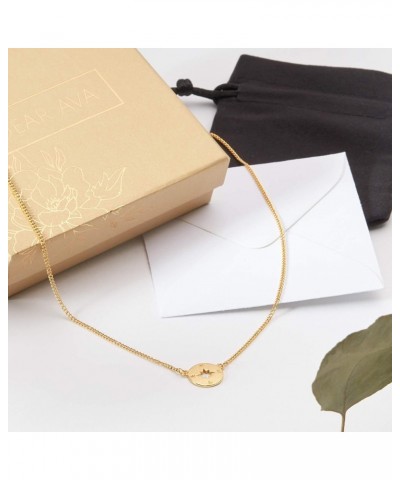 Unbiological Sisters Gift Necklace: Present for Bonus Sister, Soul Sister, Best Friend Compass Gold $25.49 Necklaces