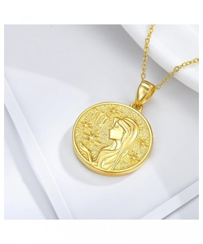 925 Sterling Silver Constellation Necklaces Horoscope Medallion Coin Disc Charm Dainty Celestial Astrology Jewelry for Women ...