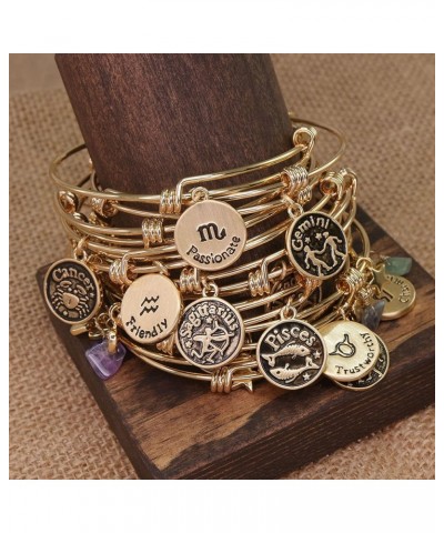 Zodiac Bracelet for Women Gold Plated Retro Constellation Sign Expandable Bangle Bracelet Round Disc Astrology Bracelet Gemst...