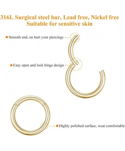 4G 6G 8G 10G 12G Clicker Rings 316L Surgical Steel Hinged Segment Hoop for Septum and Cartilage Earlobe Piercings, Diameter 1...