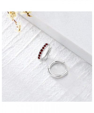 S925 Sterling Silver Birthstone Huggie Small Hoop Earrings for Women Girls Teens, Made with Cubic Zirconia and Austrian Cryst...