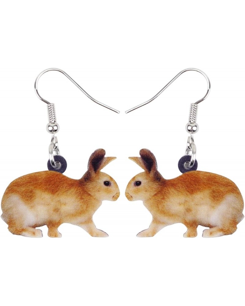 Acrylic Drop Dangle Easter Basket Bunny Hare Rabbit Earrings Jewelry For Women Girls Gift Charms Brown $7.14 Earrings