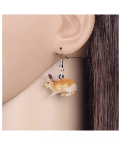 Acrylic Drop Dangle Easter Basket Bunny Hare Rabbit Earrings Jewelry For Women Girls Gift Charms Brown $7.14 Earrings