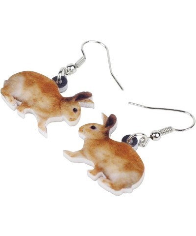 Acrylic Drop Dangle Easter Basket Bunny Hare Rabbit Earrings Jewelry For Women Girls Gift Charms Brown $7.14 Earrings