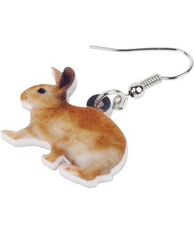 Acrylic Drop Dangle Easter Basket Bunny Hare Rabbit Earrings Jewelry For Women Girls Gift Charms Brown $7.14 Earrings