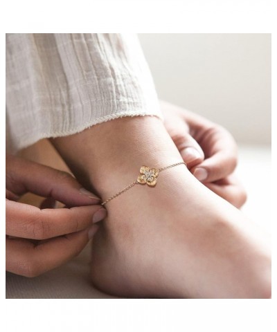 Women Dainty Gold Anklet for Women,14K Gold Plated Cubic Zircon Boho Beach Jewelry Delicate Cute Audjustable Chain Ankle for ...