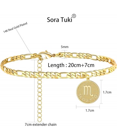 Zodiac Ankle Bracelets for Women Silver Anklet 14K Real Gold Plated Zodiac Anklets for Women Horoscope Constellation Anklet Z...