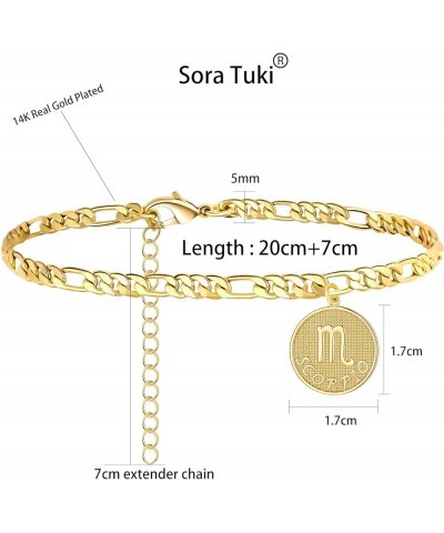 Zodiac Ankle Bracelets for Women Silver Anklet 14K Real Gold Plated Zodiac Anklets for Women Horoscope Constellation Anklet Z...