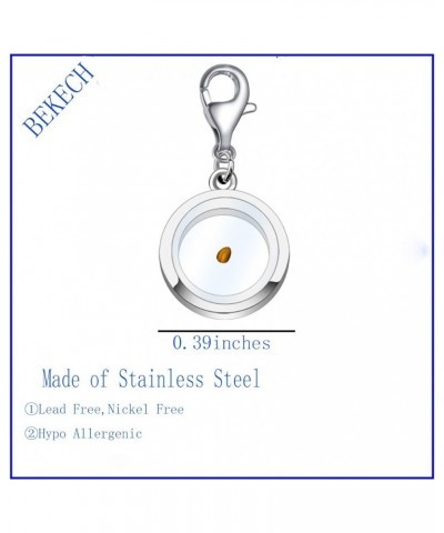 Faith Mustard Seed Charm Zipper Pull Clip On for Religious Men Women silver stainless steel $8.84 Bracelets