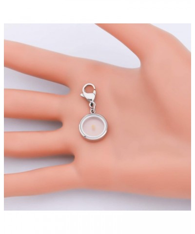 Faith Mustard Seed Charm Zipper Pull Clip On for Religious Men Women silver stainless steel $8.84 Bracelets