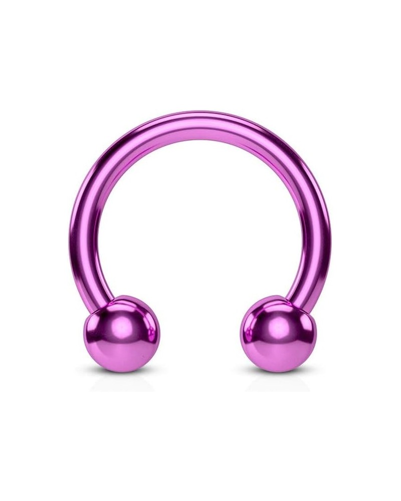 Horseshoe/Circular barbells Titanium IP over 316L Surgical Stainless Steel 10GA, Length: 12mm, Ball: 6mm, Purple $10.02 Body ...