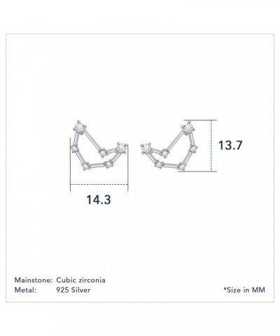Horoscope Collection - Rhodium Clad Sterling Silver Cubic Zirconia Zodiac Constellation Symbol 12 Signs Earrings for Women Mo...