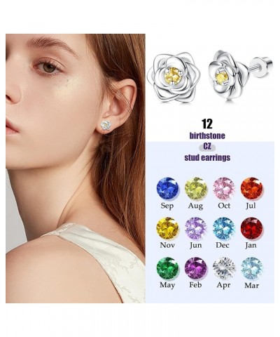 Hypoallergenic Birthstone Stud Earrings for Women Butterfly Flower Heart CZ Screw Back Earrings Jewelry Gift for Birthday Chr...