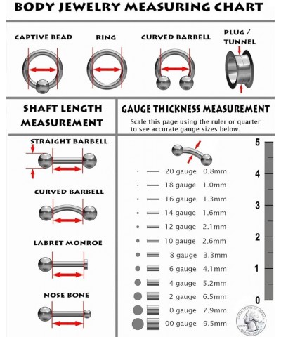 16 GA Implant Grade Titanium Hinged Segment Hoop Ring With CZ Accented Diamond Faceted Cuts 8MM Length(Choose Color) Steel/Cl...